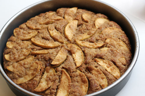 Pumpkin Coffee Cake Sweet and Crumby
