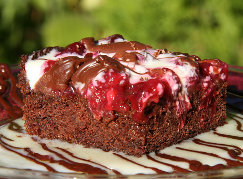 cranberry chocolate cake