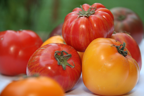 heirloom tomatoes